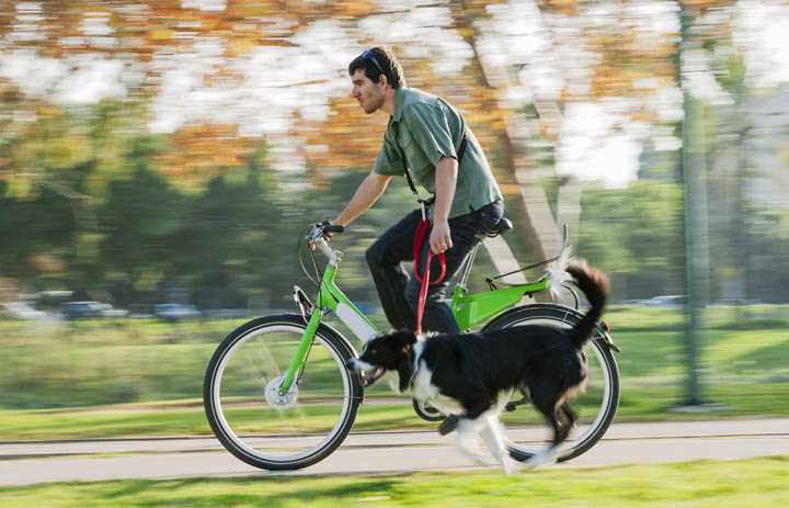 Sicherheitsmaßnahmen beim Fahrradfahren mit dem Hund