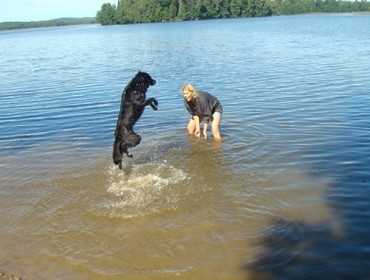 4. Hundestrand von Tylösand, Halmstad