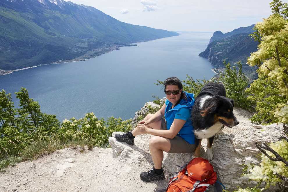 Mit Hund am Gardasee: Tipps für den Urlaub mit Hund am größten See Italiens