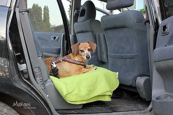 4. Befestigung im Auto