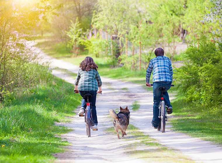 3. Anpassungen für Hundetouren vornehmen