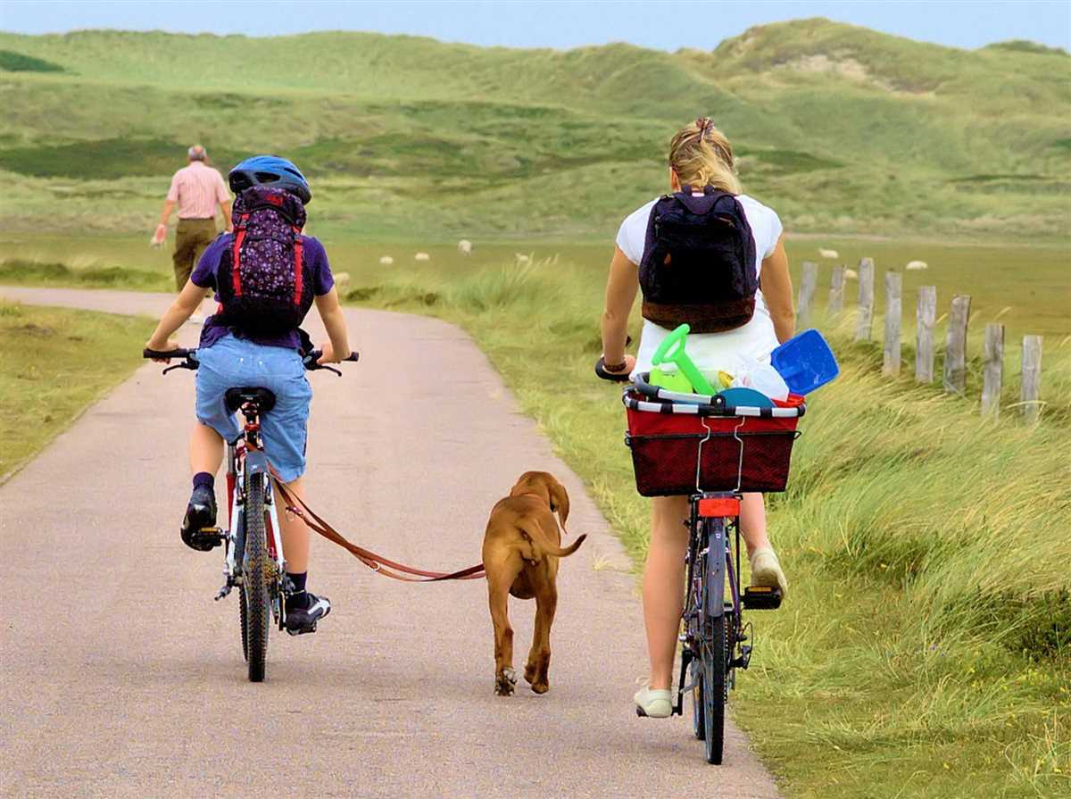 Mit Hund Fahrradfahren: Tipps und Ratschläge für eine sichere und angenehme Fahrradtour mit Ihrem Vierbeiner