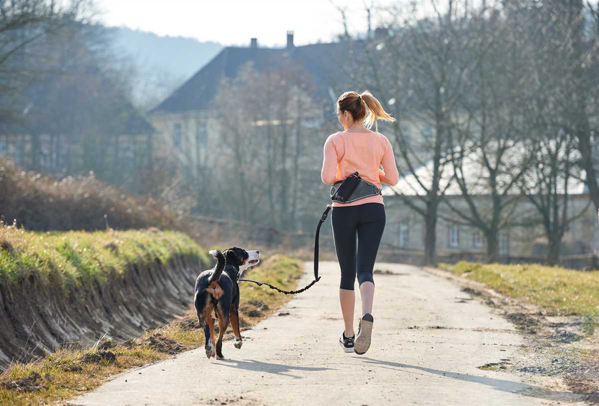 Nach dem Lauf: Pflege und Erholung für den Hund nach dem Training