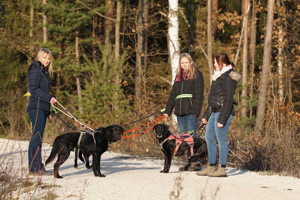 5. Respektieren Sie andere Menschen und Tiere