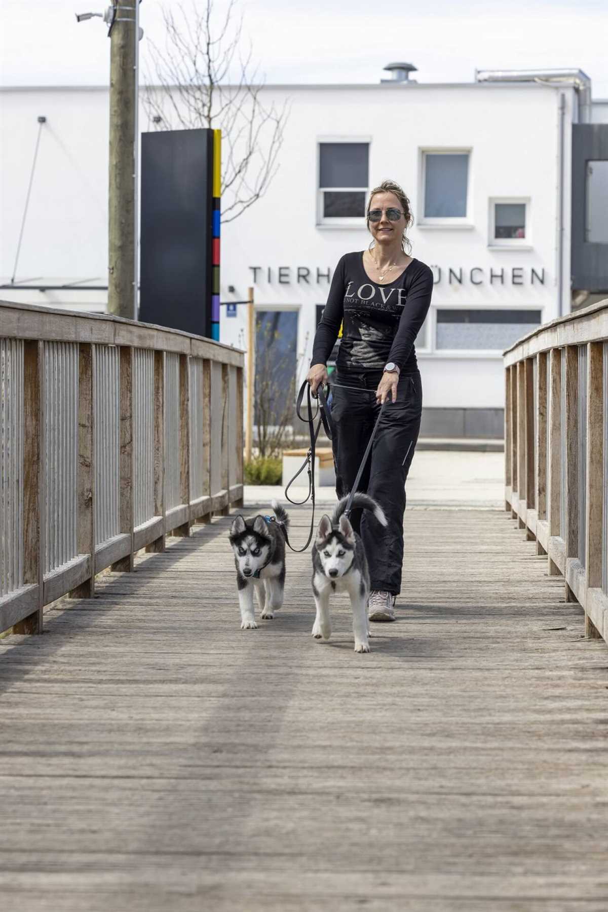 9. Passen Sie die Aktivität an Ihren Hund an