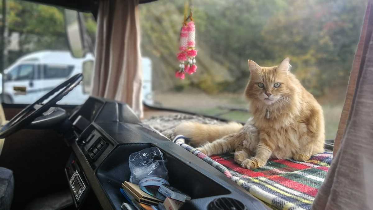 Das Auto als angenehmen Ort gestalten