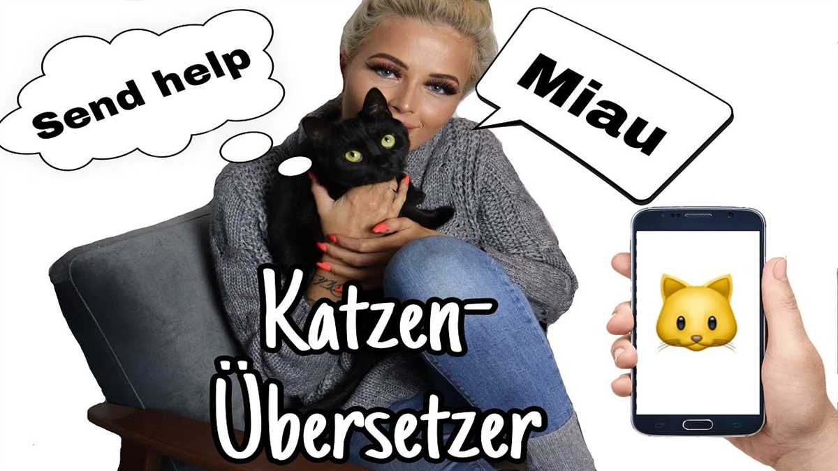 6. Kratzen und Strecken: