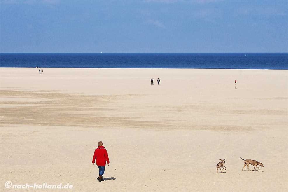 5. Zandvoort