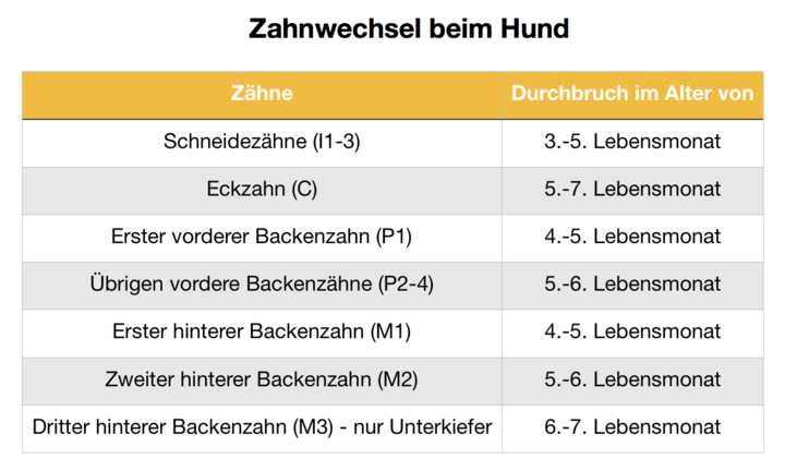 Wann fallen die Milchzähne aus?