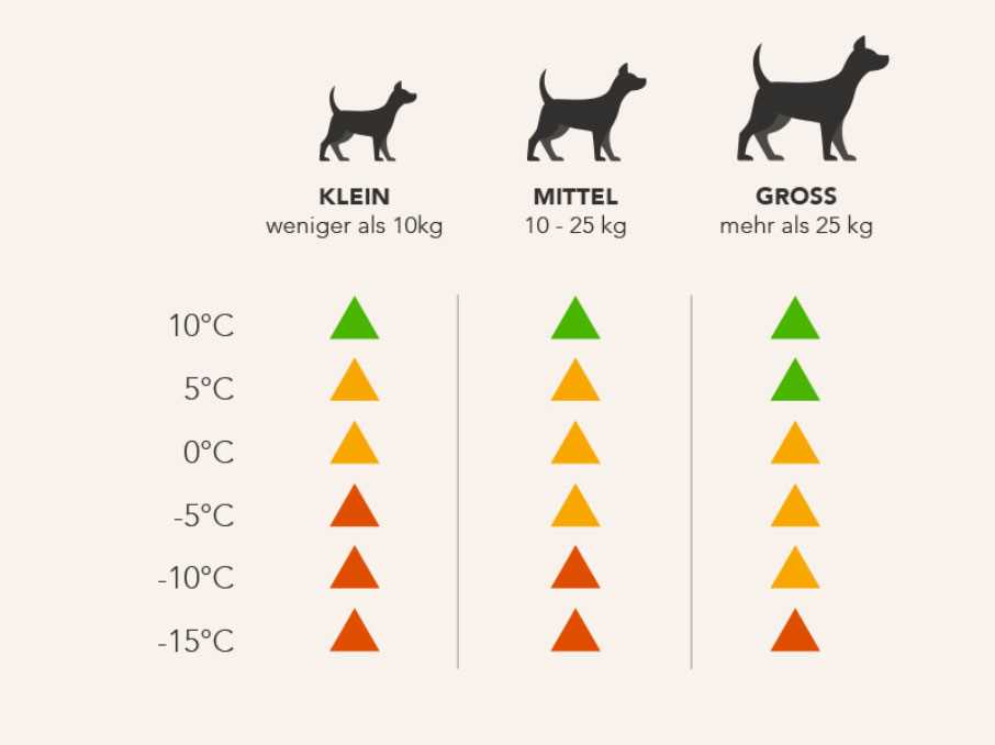 Wann friert ein Hund? Tipps und Empfehlungen für die Winterzeit