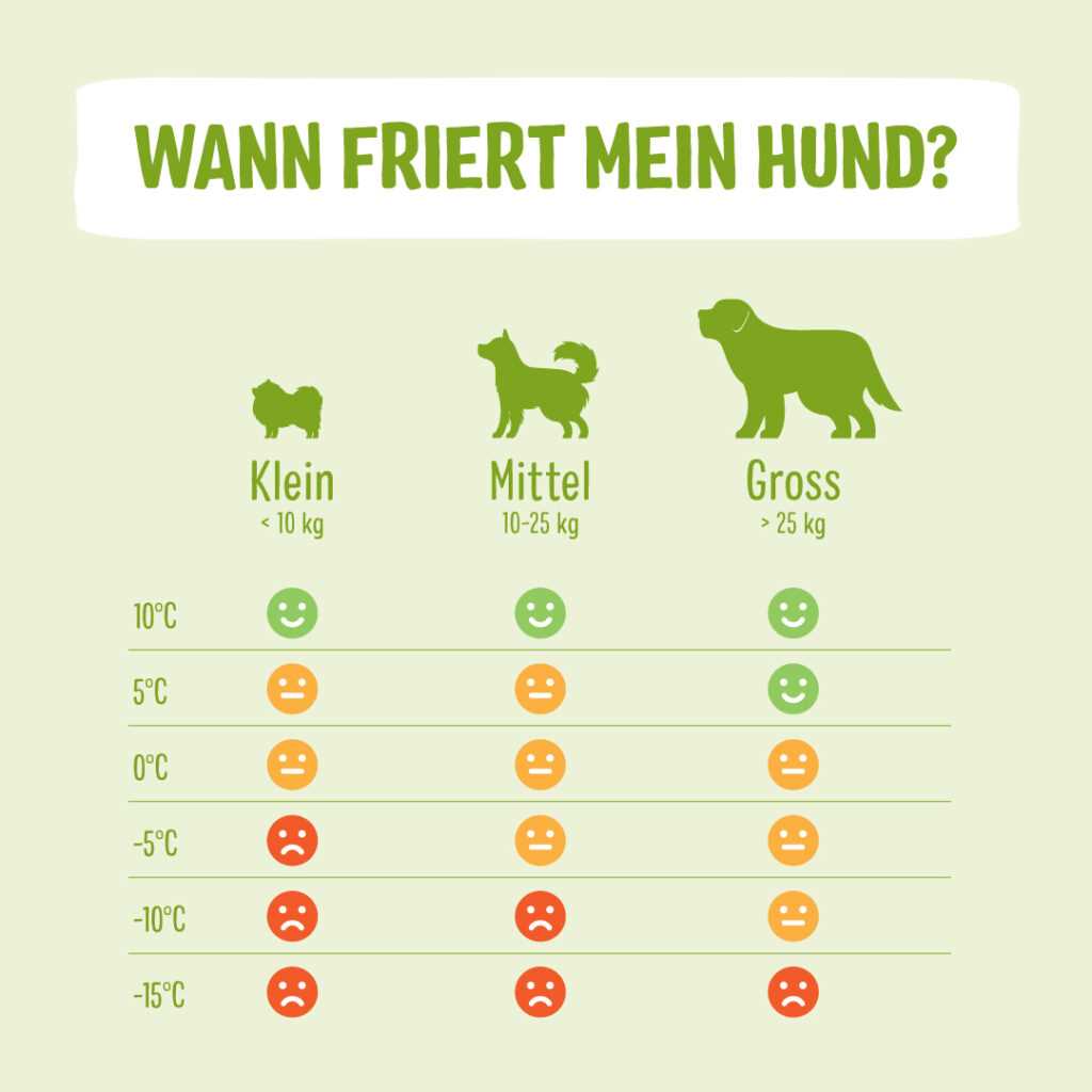 Vermeiden Sie lange Spaziergänge bei extremer Kälte