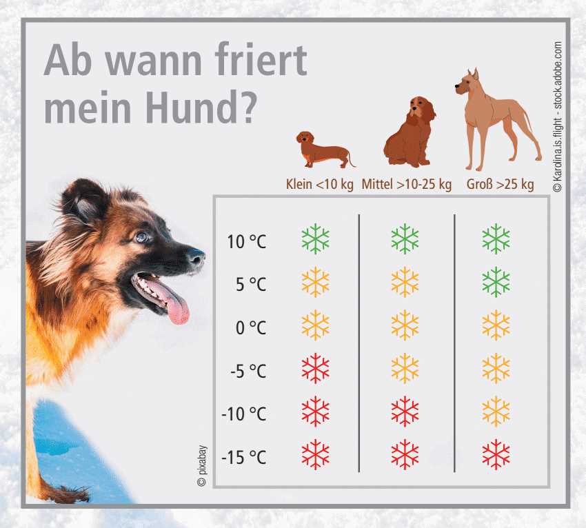 Die Bedeutung von richtigem Futter