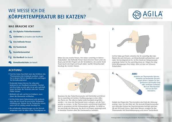 5. Zusätzliche Diagnosetests