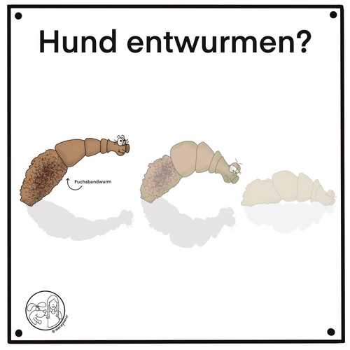 Warum ist Entwurmung wichtig?