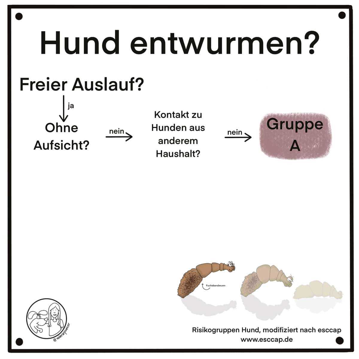 Welche Wurmmittel sind effektiv?