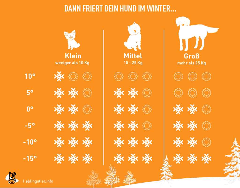 Tipps zum Schutz vor Hitze