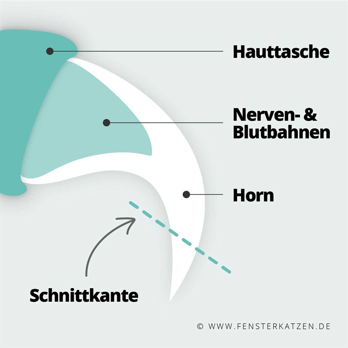 Tipps und Tricks, um das Schneiden der Krallen angenehmer zu machen