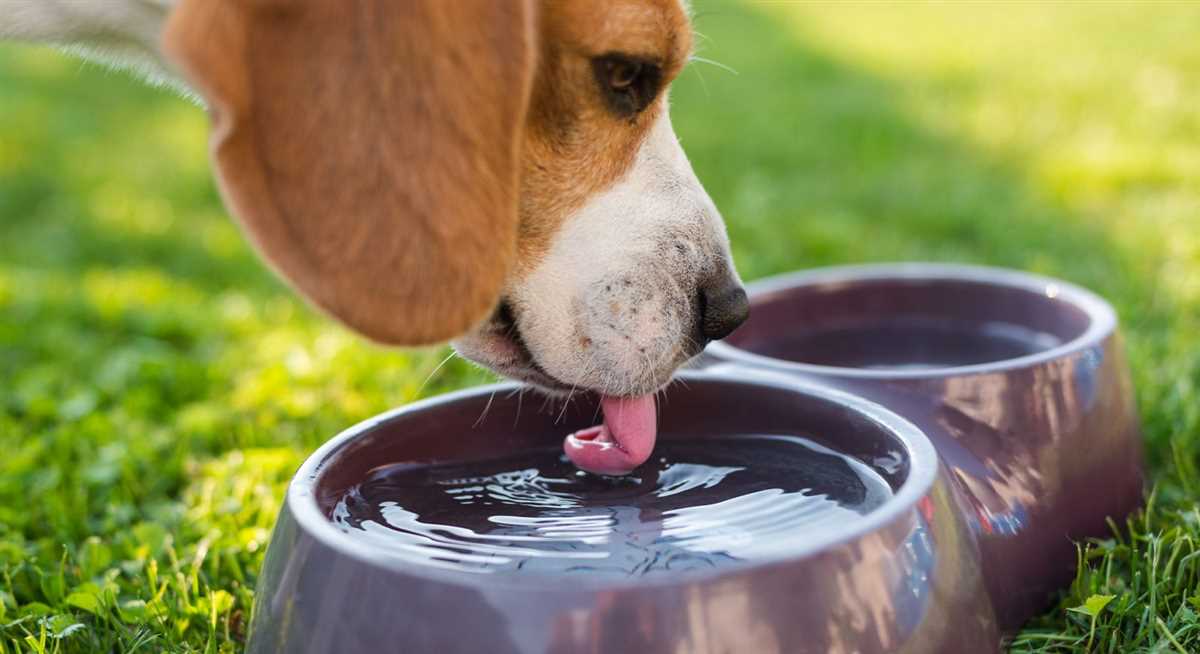 1. Frisches Wasser bereitstellen