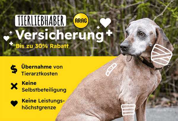 Wie lange dauert es, bis die Wurmkur beim Hund wirkt?