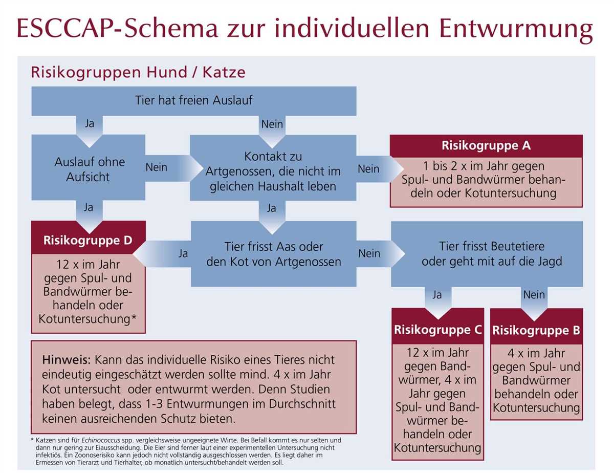 Tipps zur optimalen Wirkung der Wurmkur beim Hund