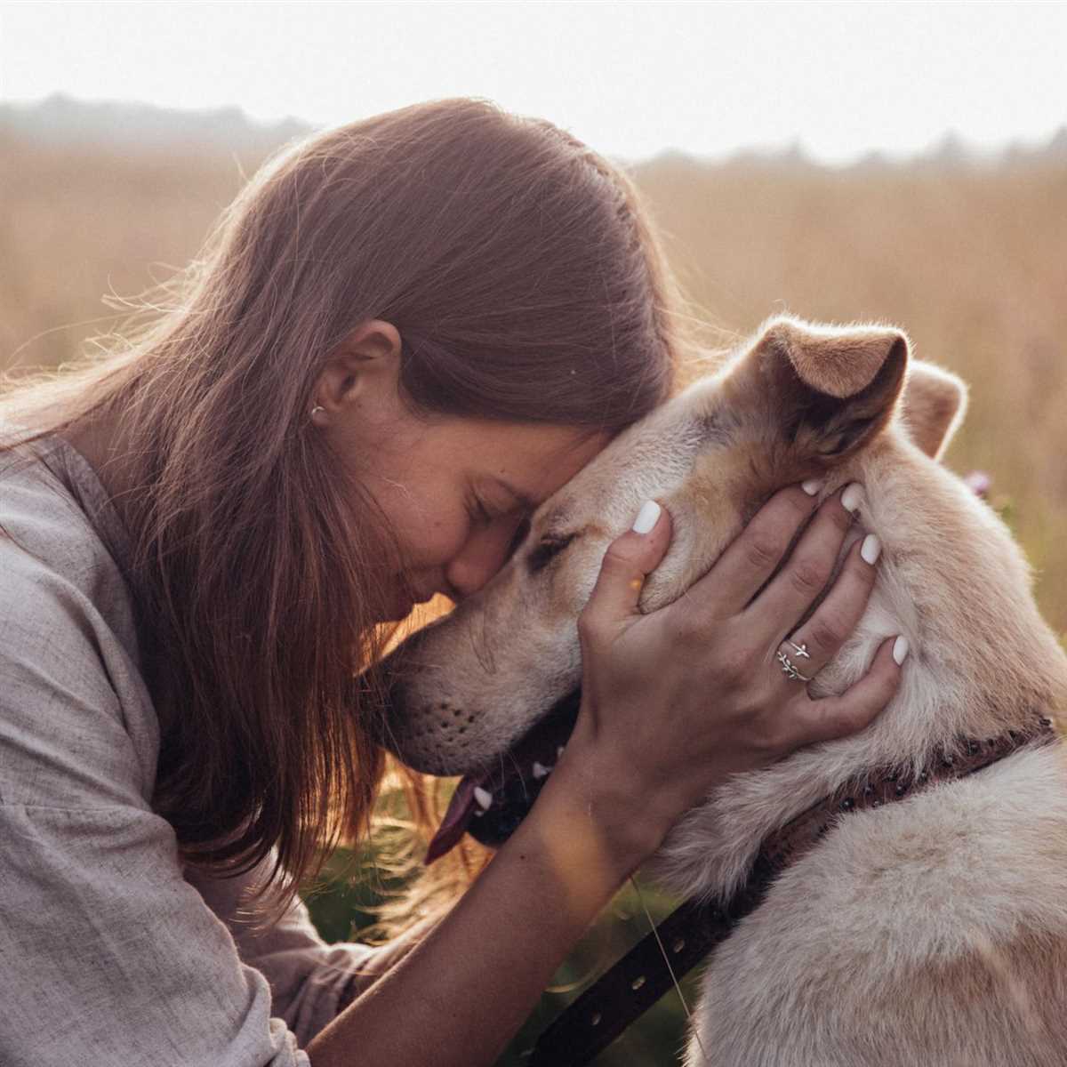 Psychologische Faktoren bei Hundeangriffen auf geliebte Menschen