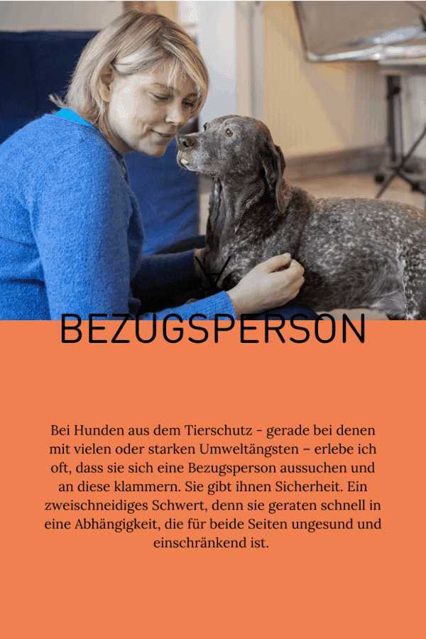 Tipps zum Umgang mit einem heulenden Hund