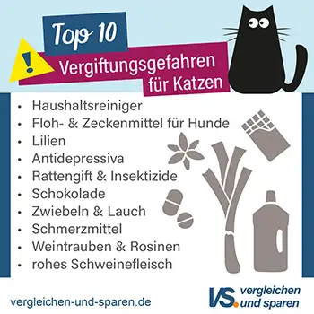 7. Sorgen Sie für eine sichere Umgebung