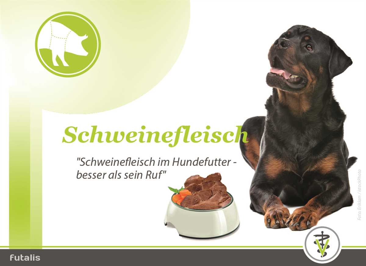 Warum ist Schweinefleisch für Hunde tabu?