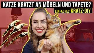 Warum kratzen Katzen an der Wand: Gründe und Lösungen