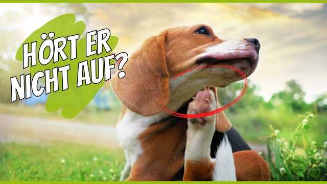 1. Ursache herausfinden