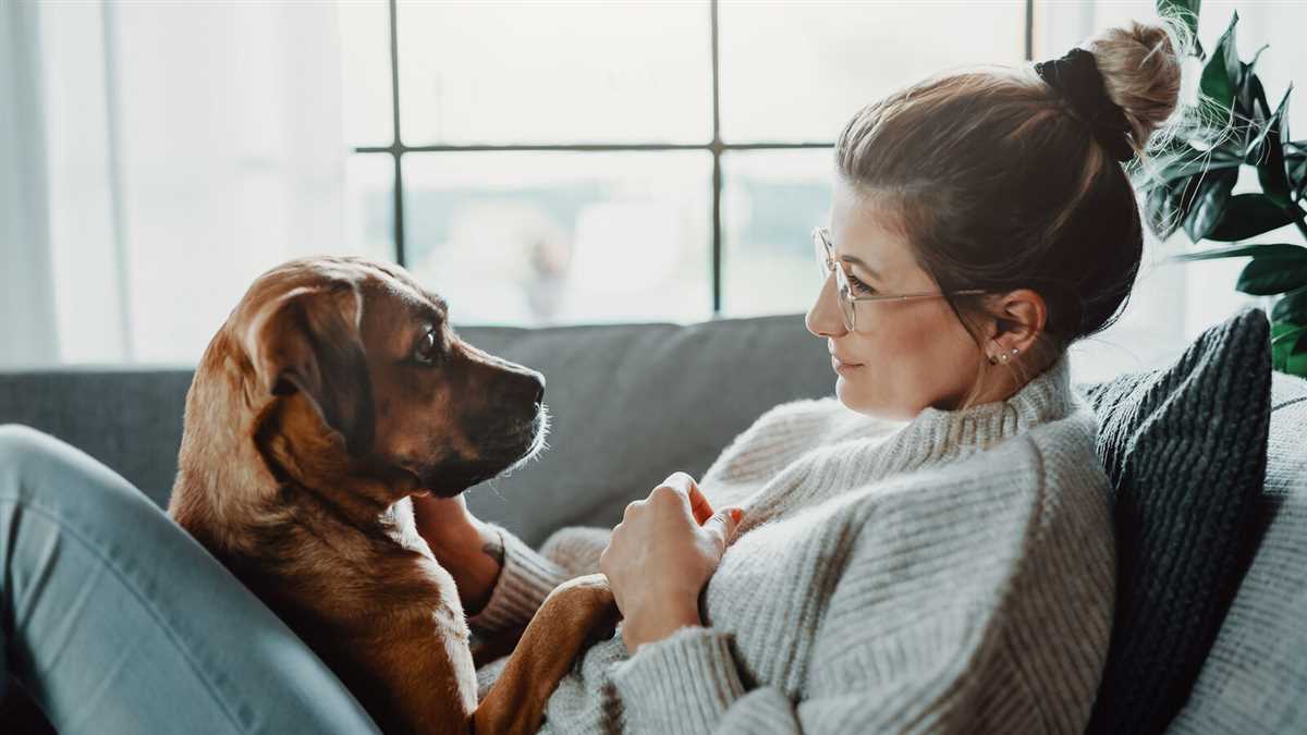 Die Bedeutung des Kuschelns für Hunde