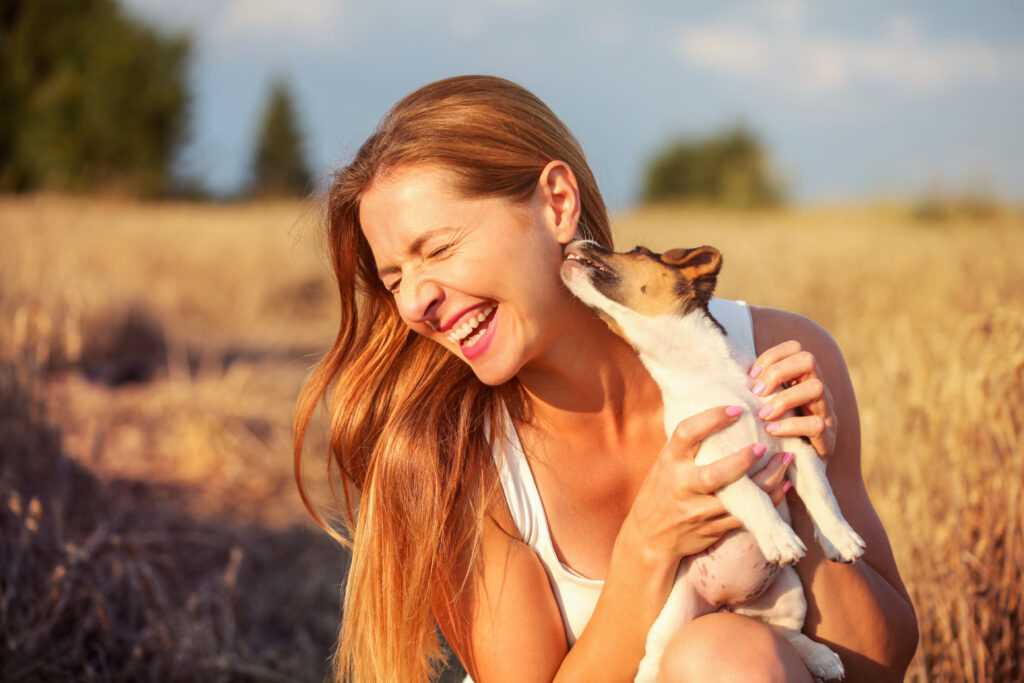 Zuneigung und Freundschaft