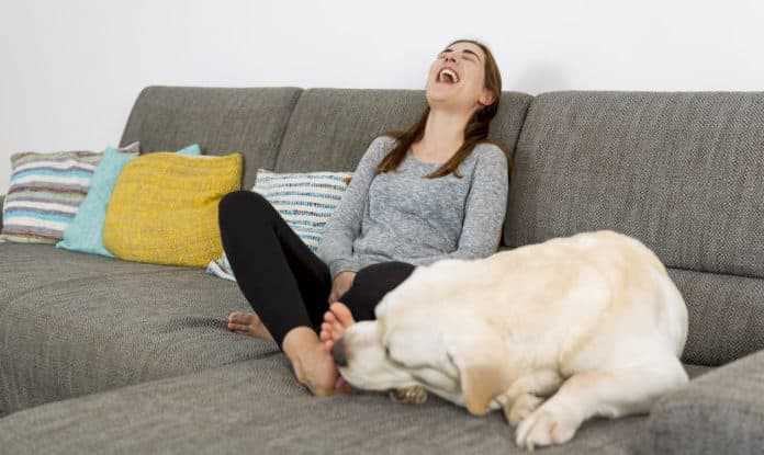 Warum leckt mein Hund mein Bein ab? Ursachen und Lösungen