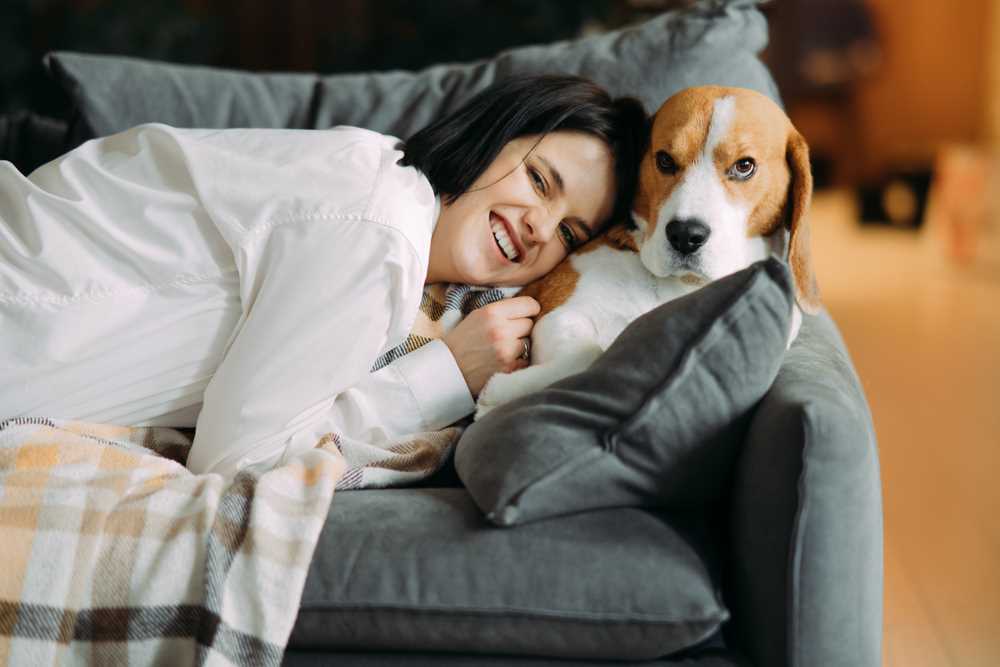 Warum legt mein Hund seinen Kopf auf meinen Schoß? 6 Gründe