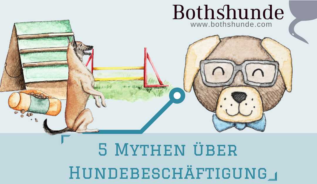 Warum mögen Hunde keine kleinen Kinder? – Gründe und Lösungen