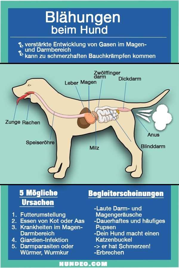 Umgang mit Verdauungsgasen