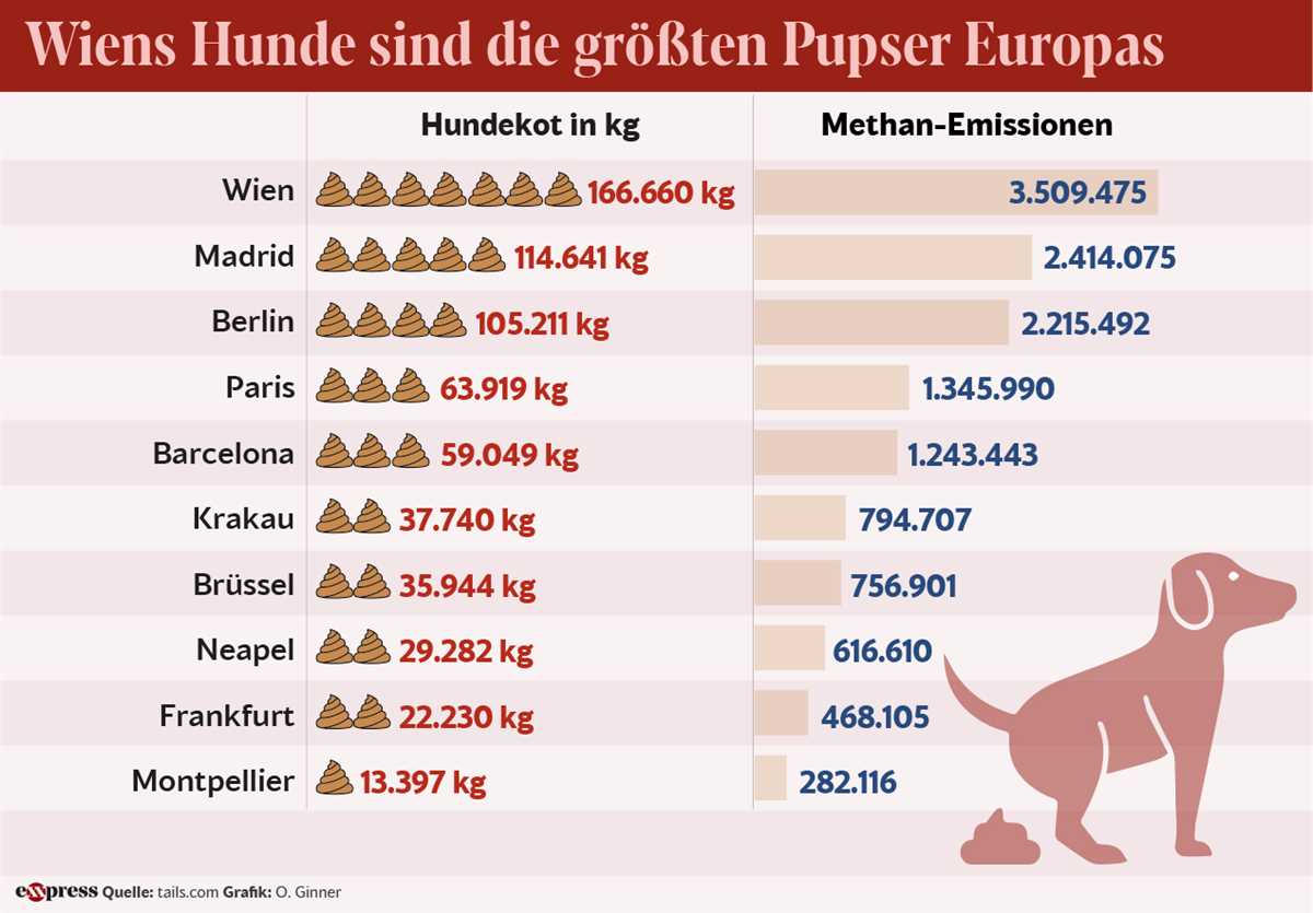 Warum pupsen Hunde? Die Ursachen und wie man damit umgehen kann