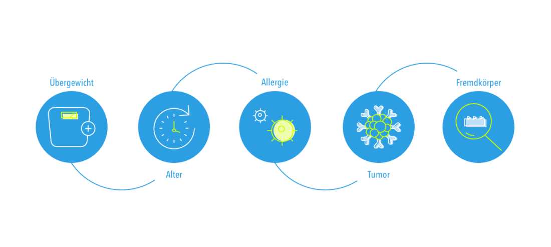 5. Vermeidung von Allergenen: