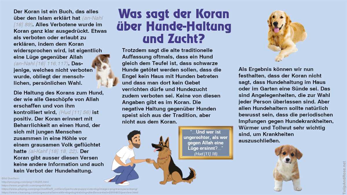 Glaubensbasierte Gründe für die Ablehnung von Hunden im Islam