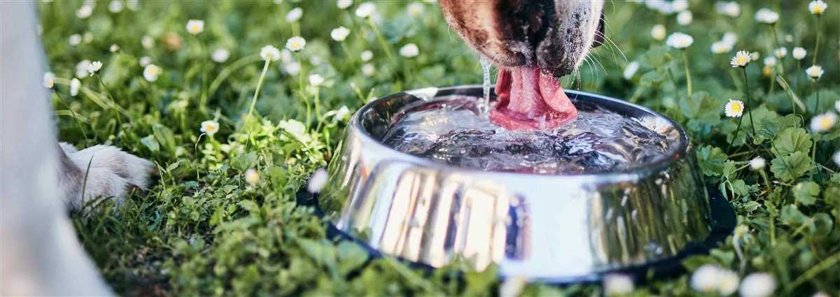 4. Regulieren Sie die Wasserzufuhr bei gesundheitlichen Problemen