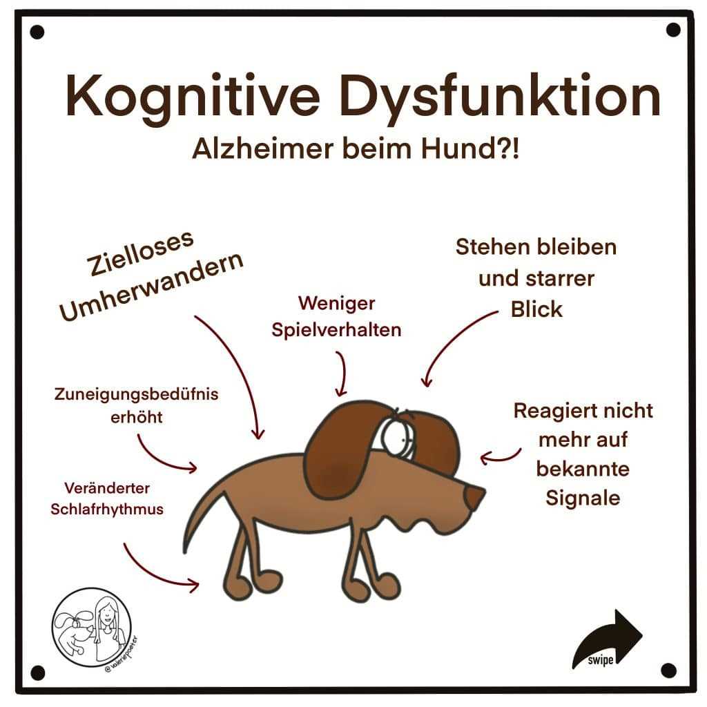 4. Langeweile und Energieüberschuss