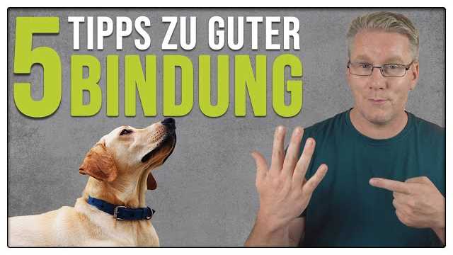 Gründe für Langeweile bei Hunden