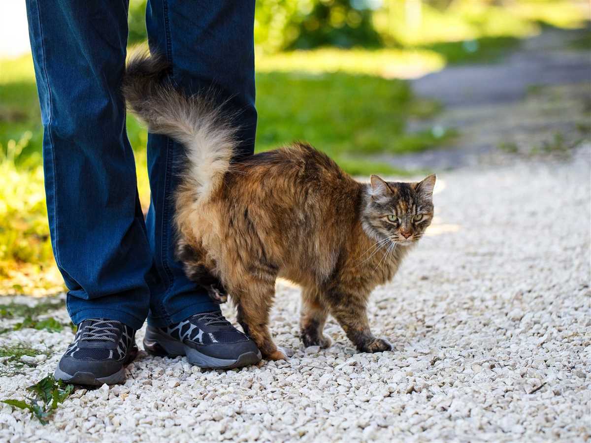 4. Entspannung oder Zufriedenheit