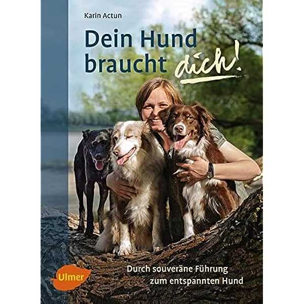 Wie kann man den Hund sozialisieren?