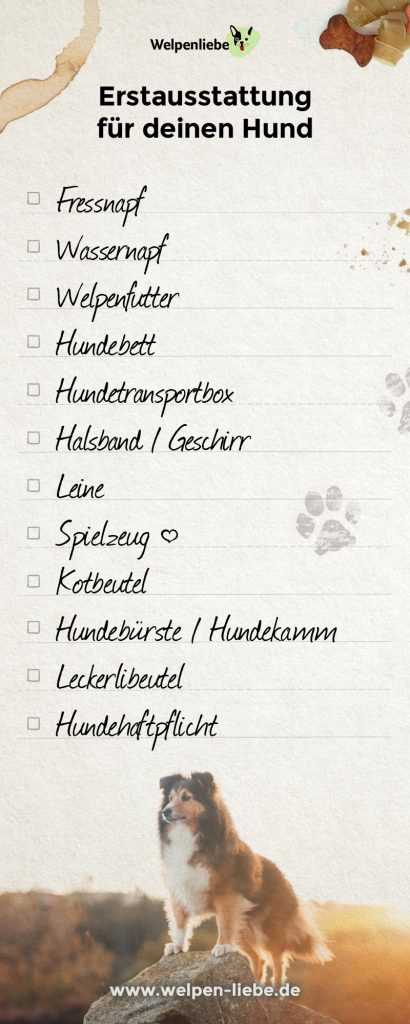 7. Hundekiste oder Transportbox