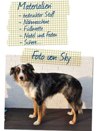 Geeignete Ernährung für einen Hund