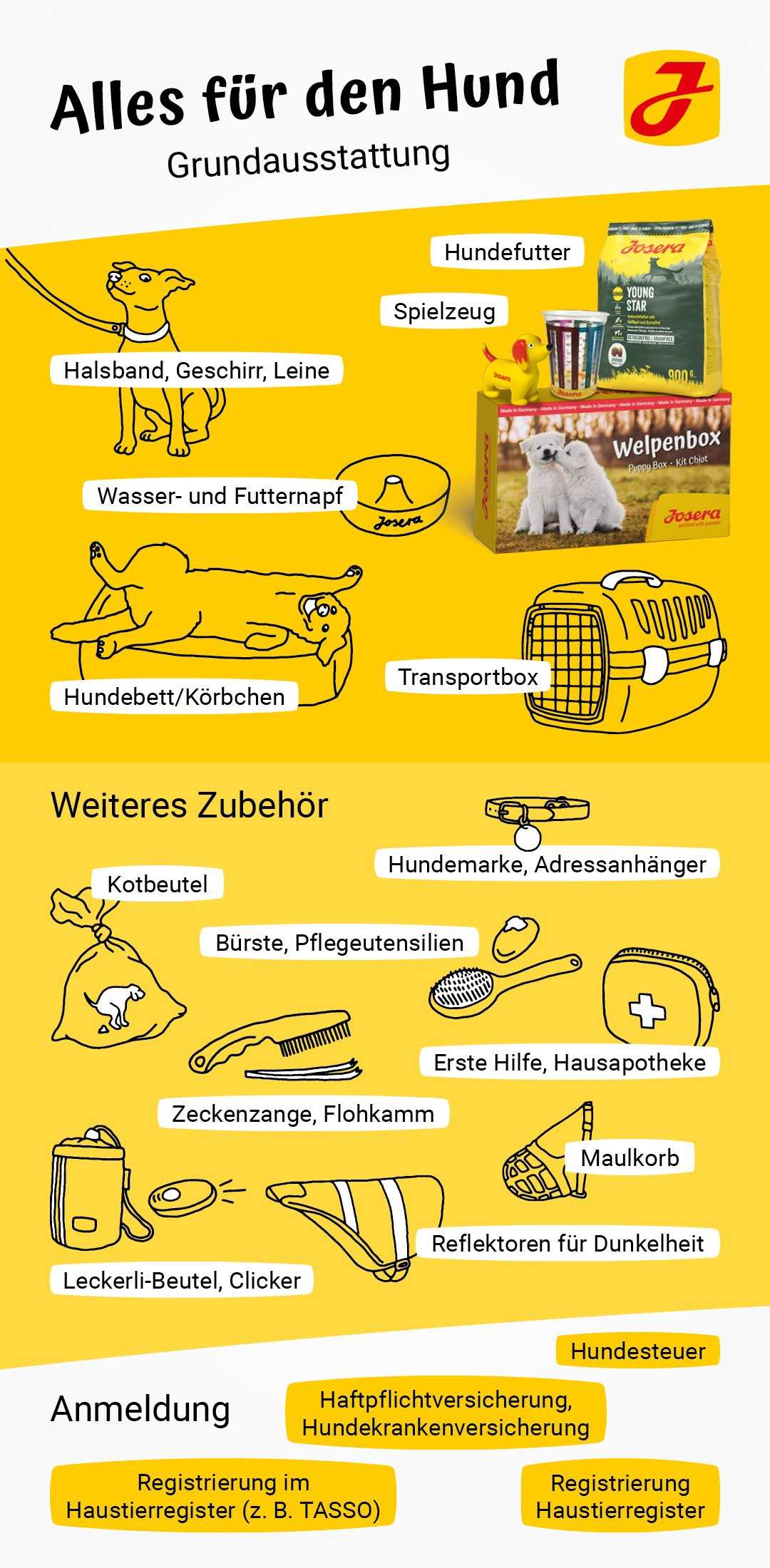 10. Erste-Hilfe-Set für Hunde