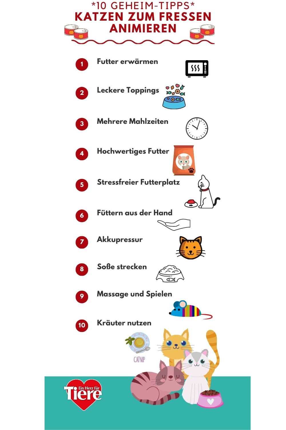 Was darf eine Katze essen? Wichtige Informationen zur artgerechten Ernährung von Katzen