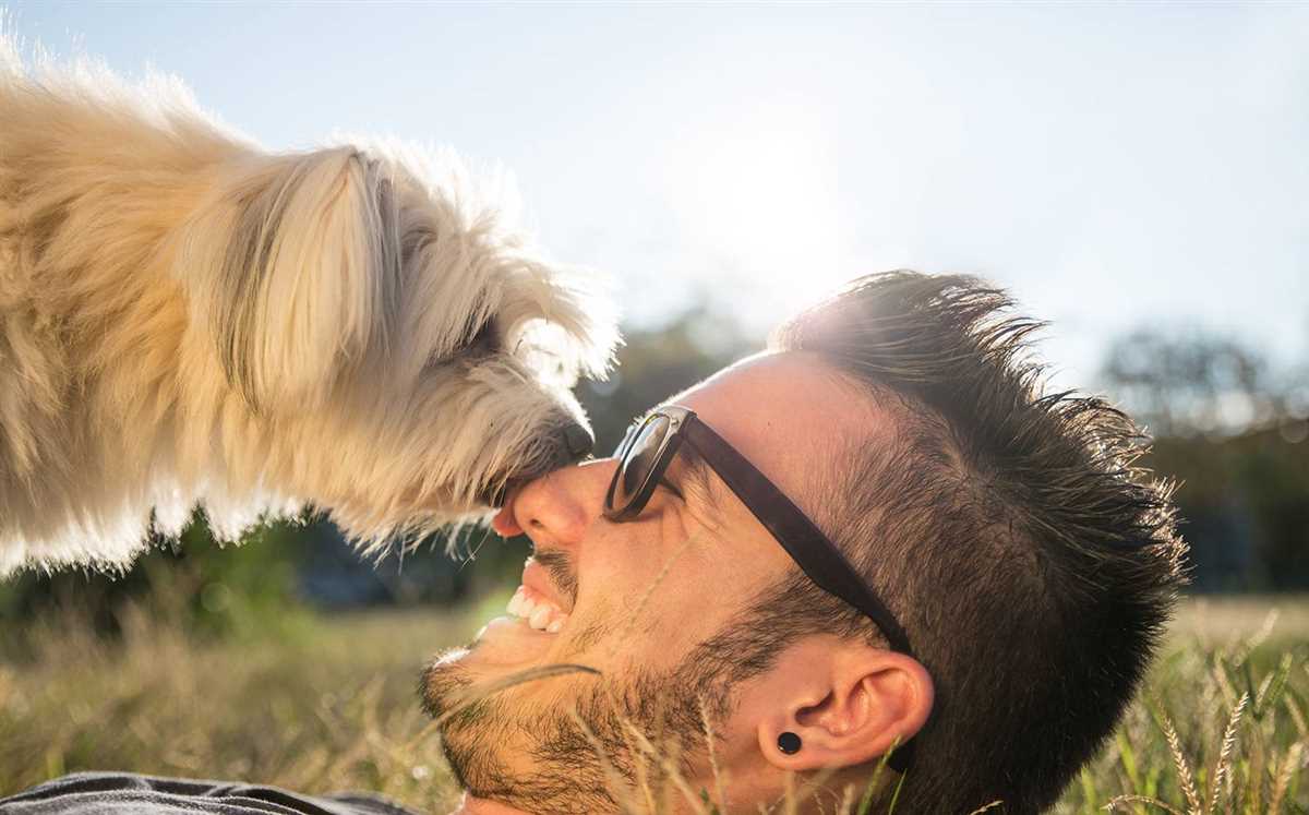 Auswirkungen auf das Verhalten der Hunde