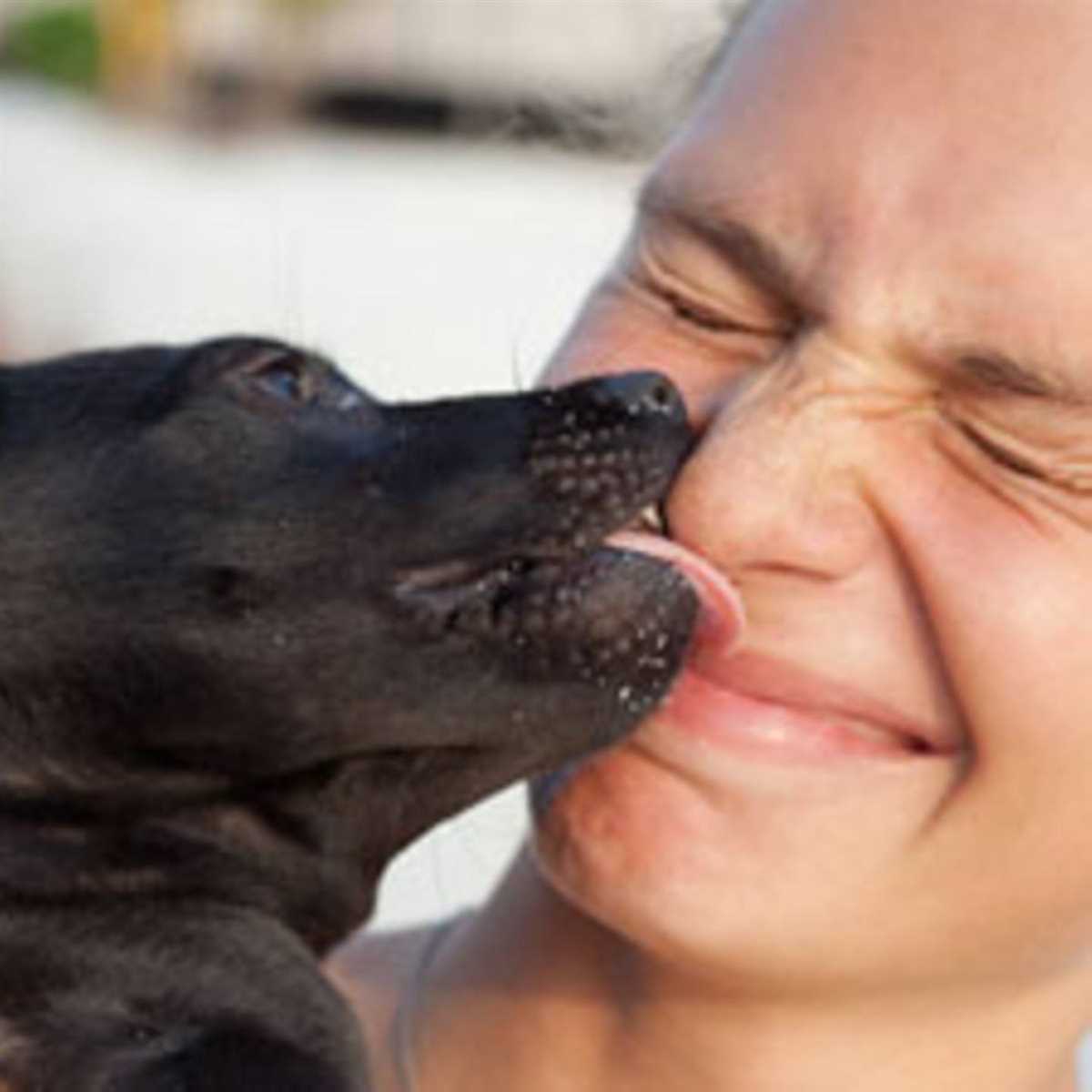 Was denken Hunde, wenn man sie küsst? Die Gedanken der Vierbeiner enthüllt